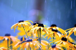 rainy weather